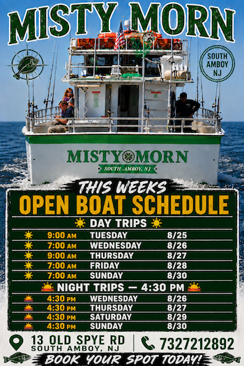 Schedule 824 to 830