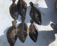 great catches 115 20200324