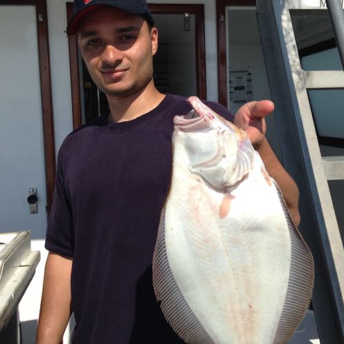 great catches 201 20200324