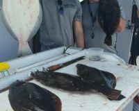 great catches 249 20200324