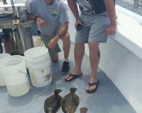 great catches 250 20200324