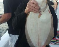 great catches 251 20200324