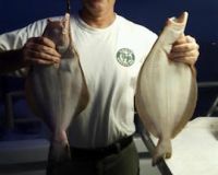 great catches 255 20200324