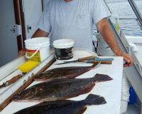 great catches 263 20200324