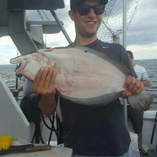 great catches 290 20200324