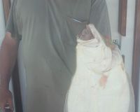 great catches 5 20200324