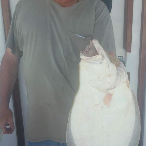 great catches 5 20200324